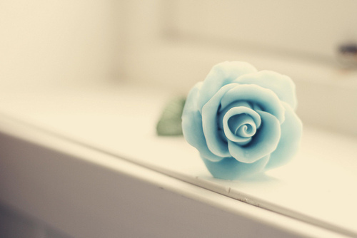 韩国整形,阴道紧缩,韩国整形医院,韩国整形专家,韩国整容